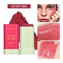 Make Up Functional Blush Stick Easy Color Rouge Blusher Crea 2