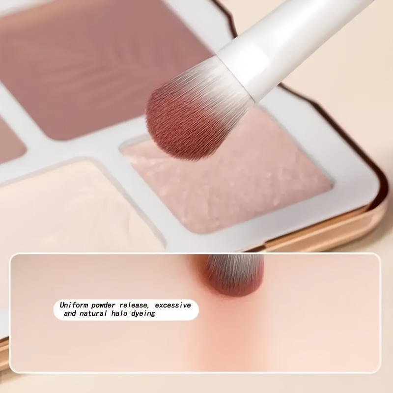 5-Piece Eye Makeup Brush Set Perfect Travel Companion and Gi 3
