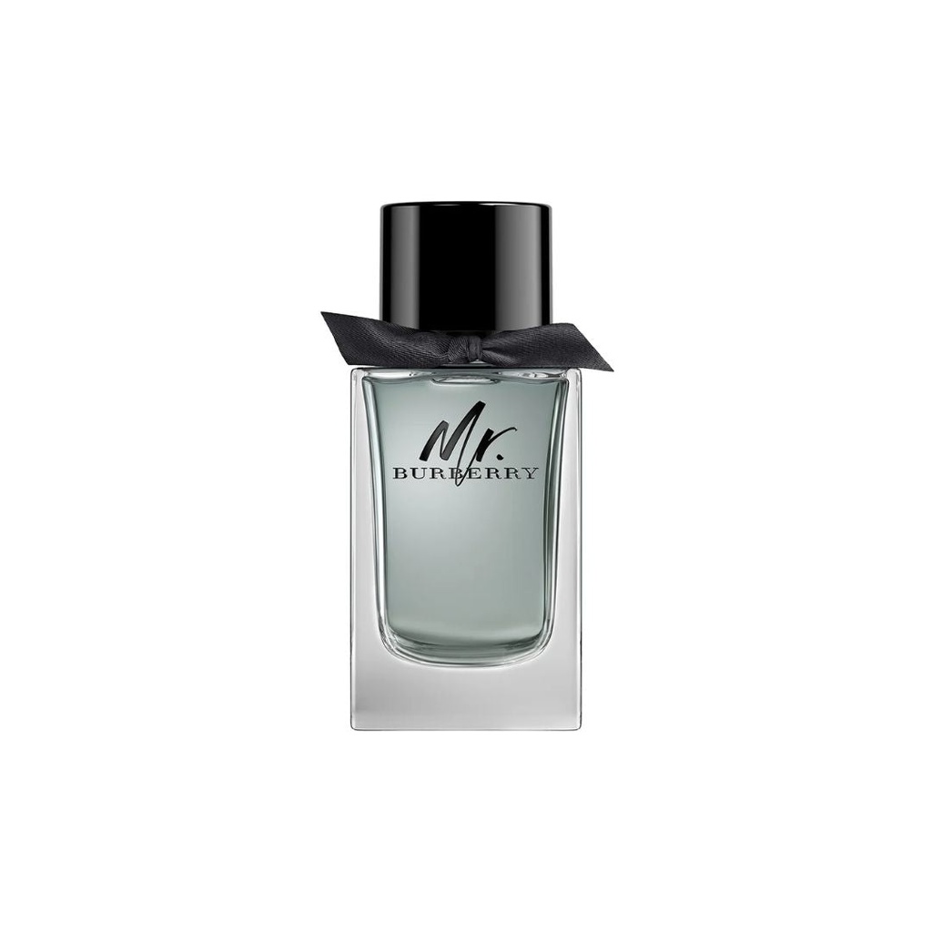 BURBERRY MR. BURBERRY (M) EDT 100ML