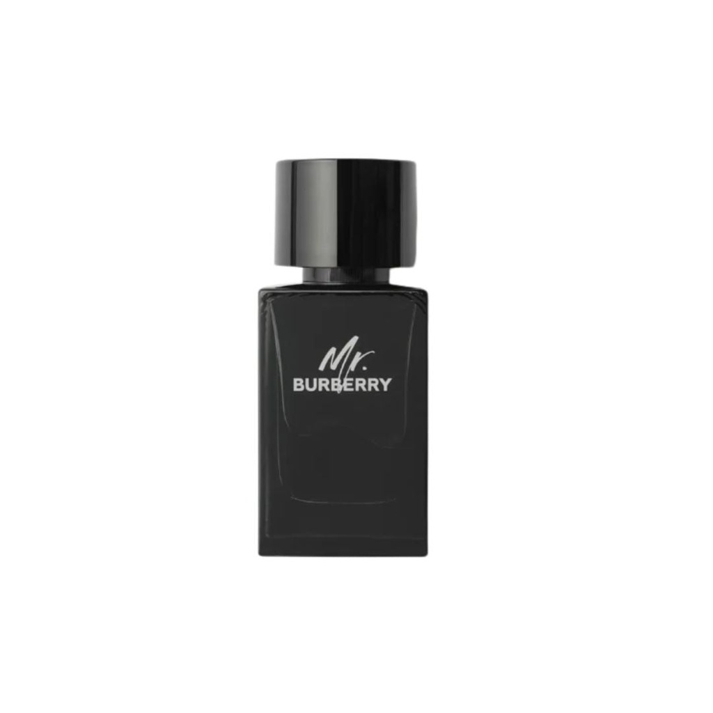BURBERRY MR. BURBERRY (M) EDP 100ML